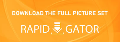  This Gallery!